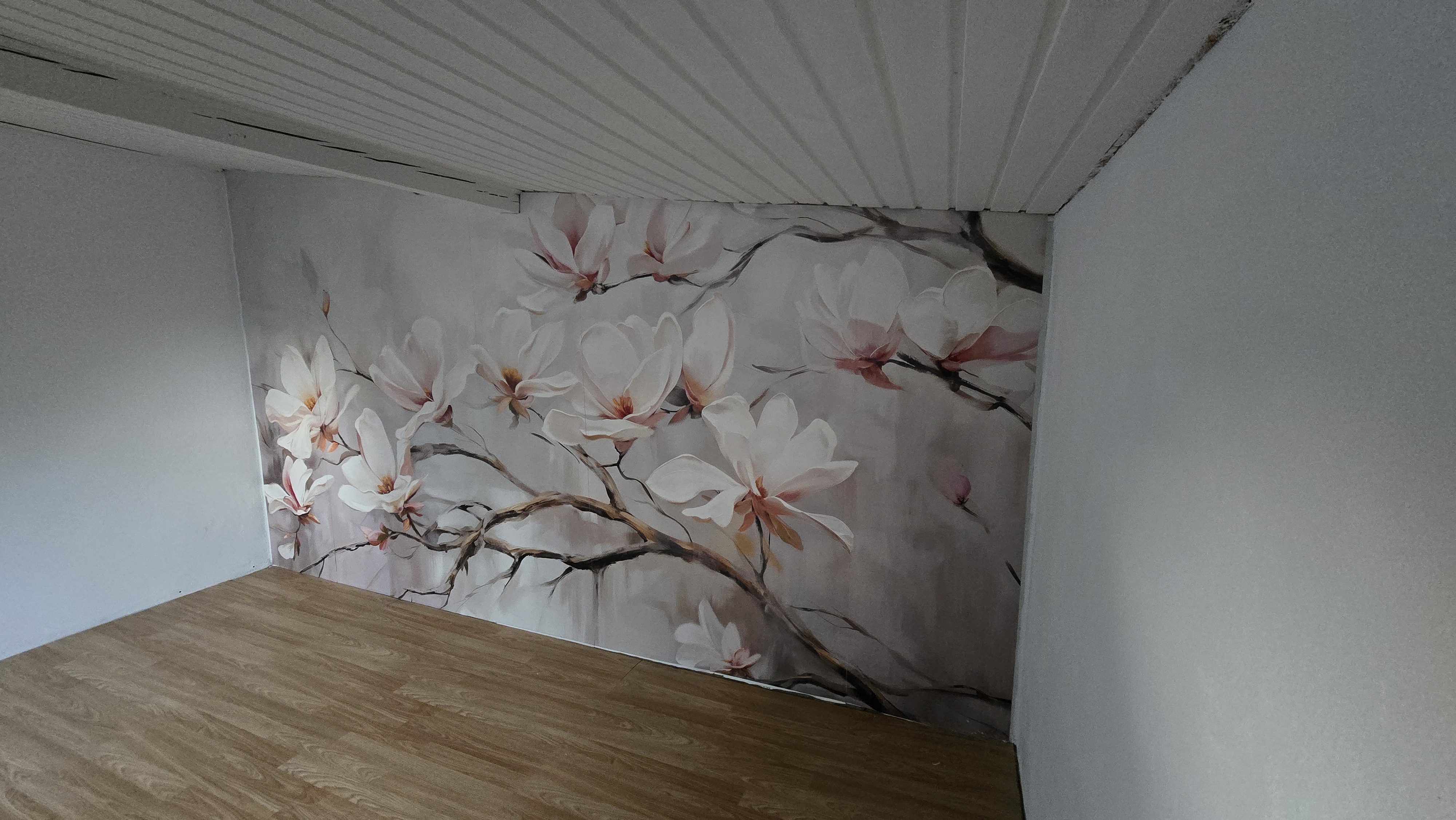 Image #3 from Agata Anusiak