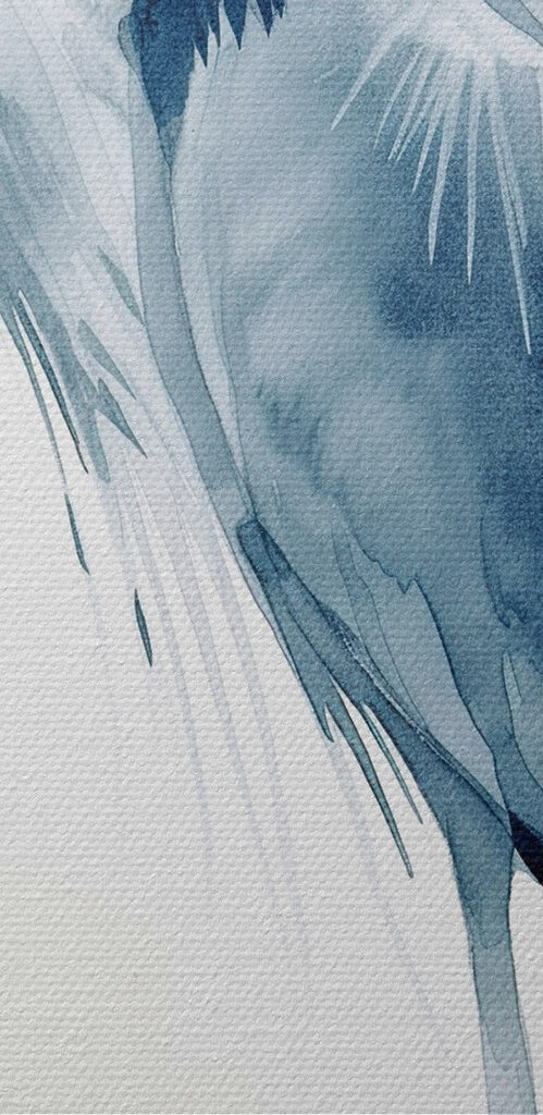 Watercolor of a bird