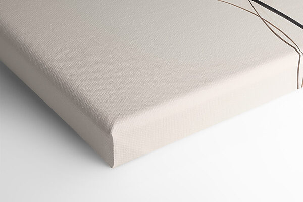 Delicate blooms in soft hues