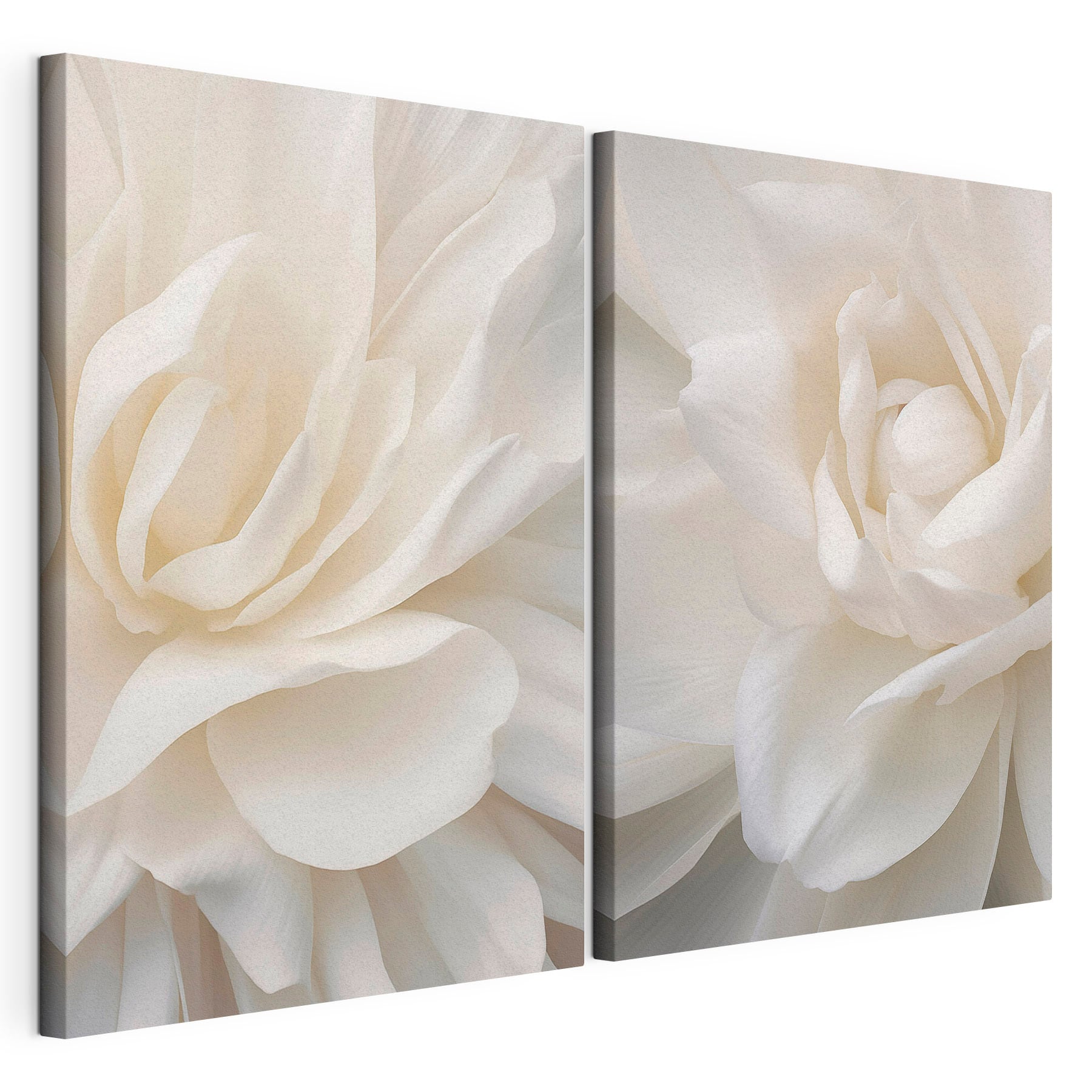 - Elegant petals in soft white hues