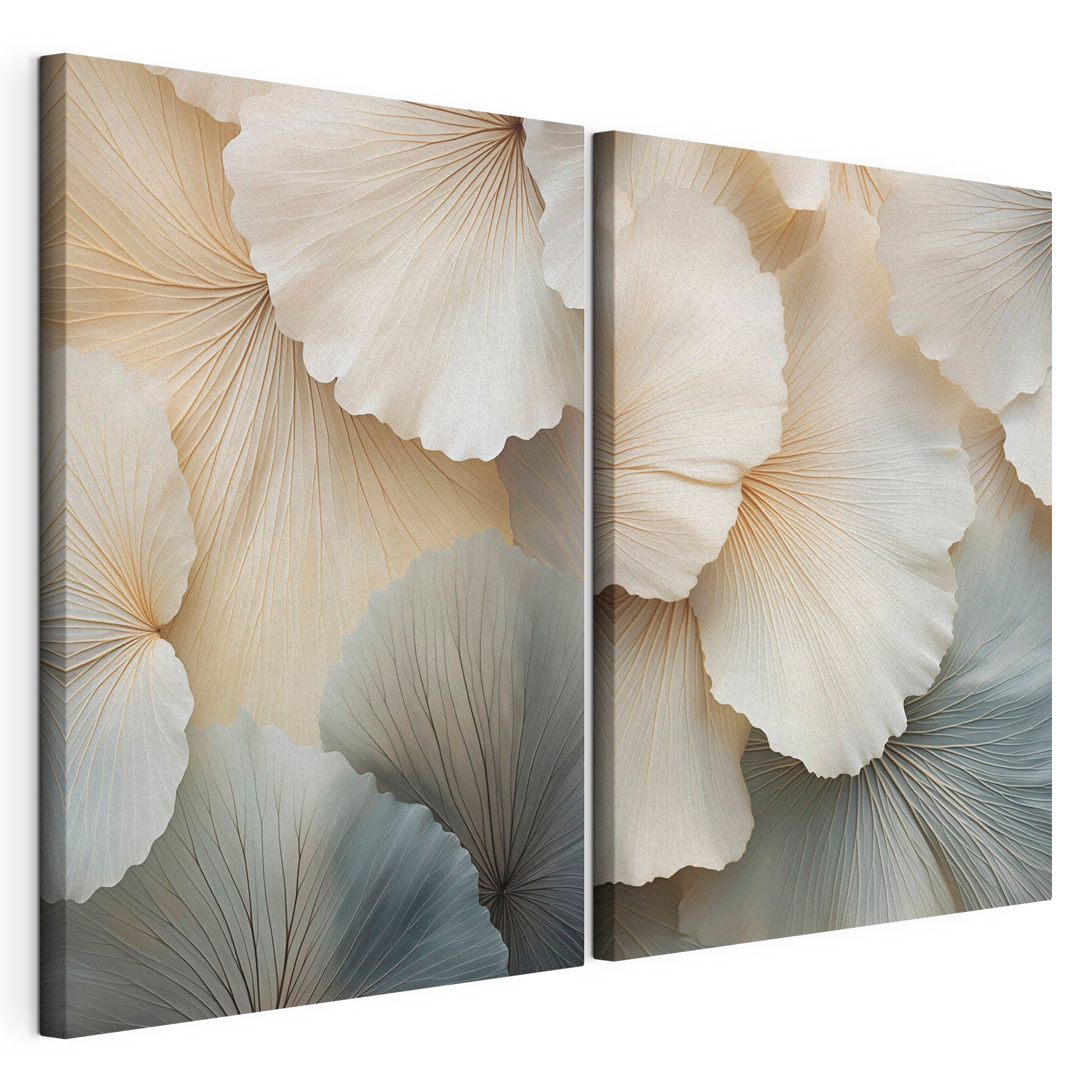 Elegant layers of soft, flowing petals