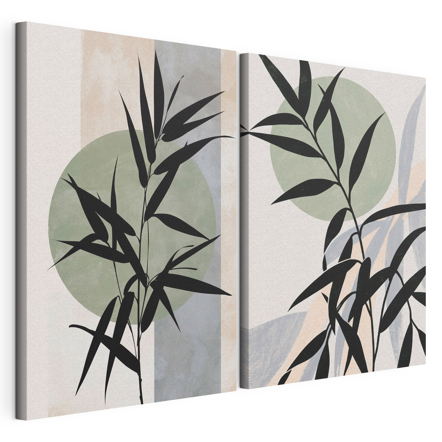 Two images of a plant