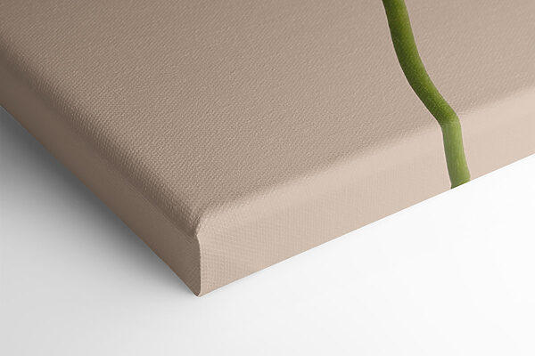 Delicate blooms in soft tones