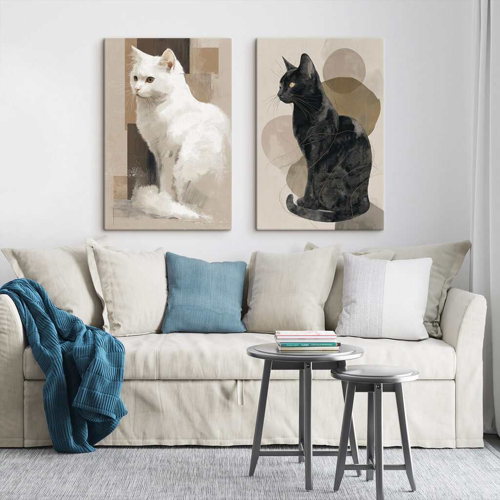 White cat and black cat