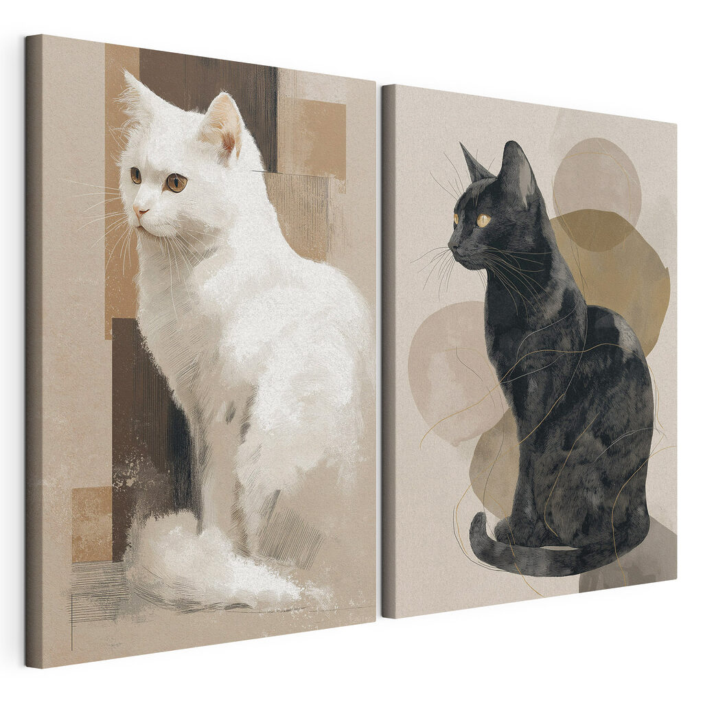 White cat and black cat