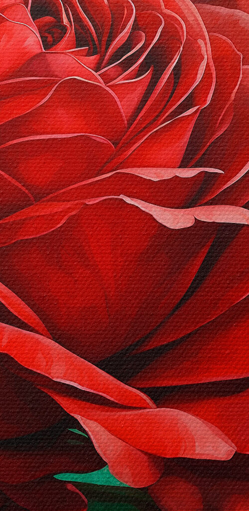 s40339pzvl 499x1024 - Floare vibrantă în plină înflorire - tegory