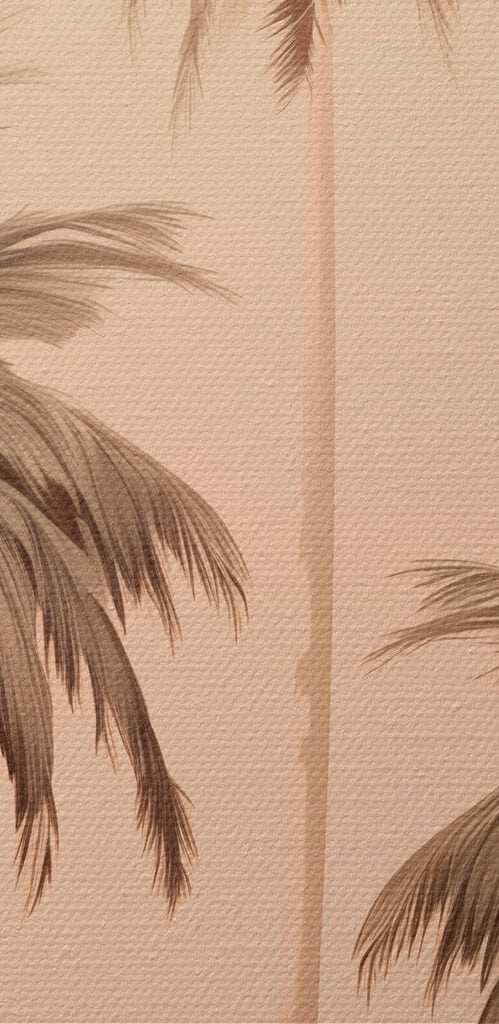 Group of palm trees
