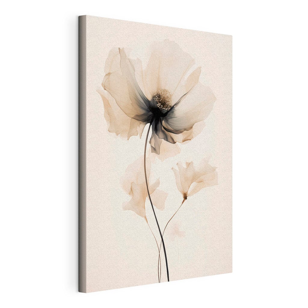 Flower with transparent petals
